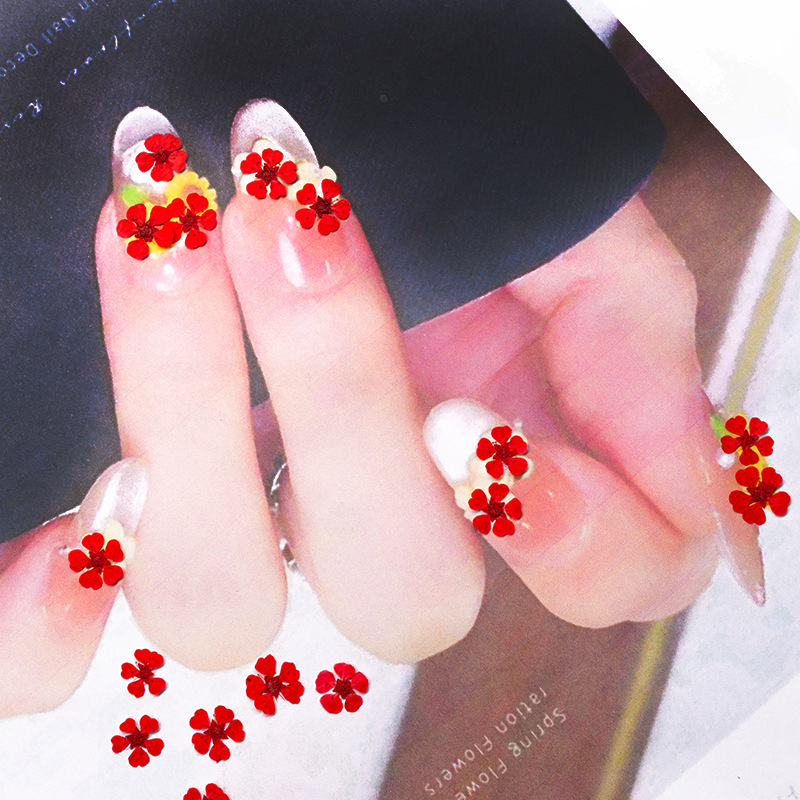 96個入り ミニ1.5cm 天然押し花 カラフルで鮮やかなパ - Art And Craft Photos のレビューと価格