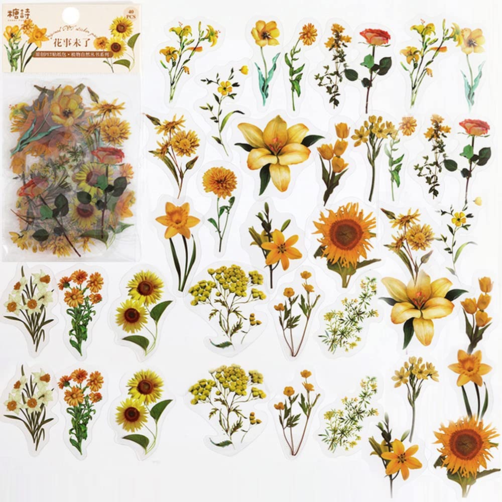 ペットの透明な花のスクラップブックステッカー、自然な花のジャ - Art And Craft Photos のレビューと価格