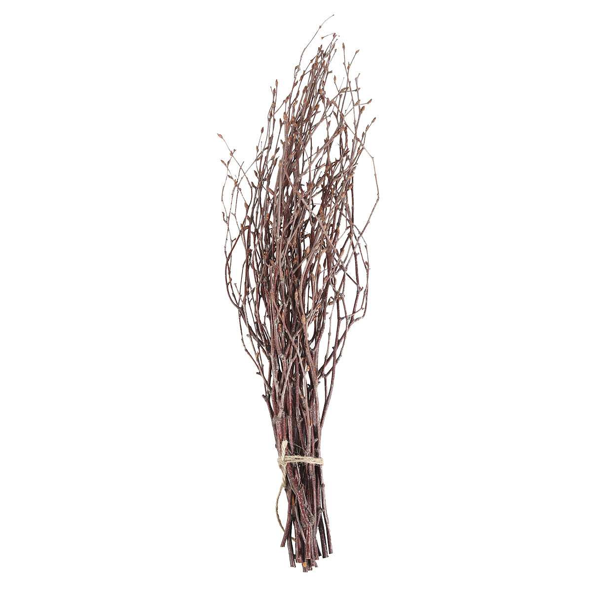 10本入り 樺の枝 天然乾燥枝 40cm 木製スティック 写 - Art Craft Stick のレビューと価格