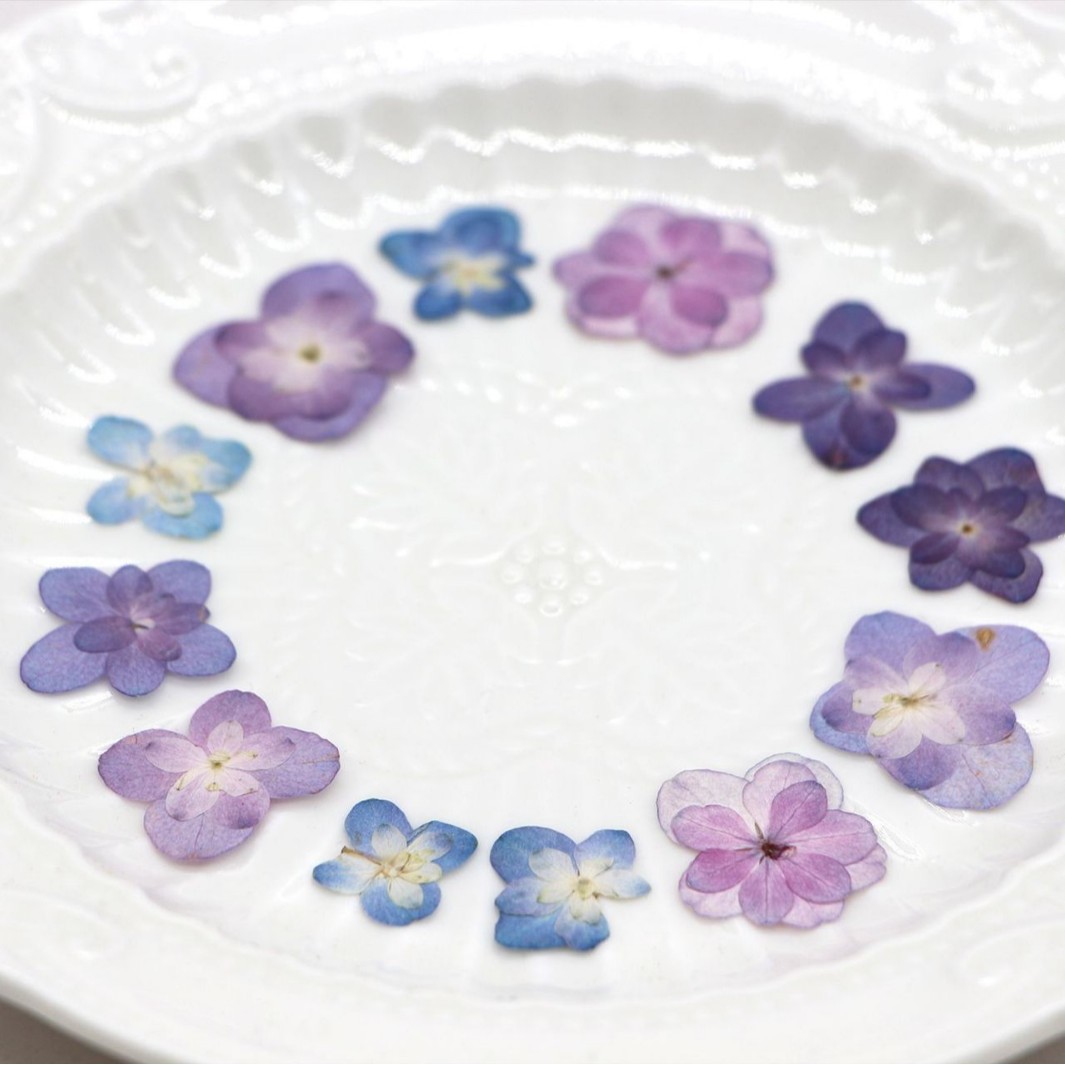60個入り ミニダブルフラワーハイドランジア ドライフラワー - Art And Craft Photos のレビューと価格