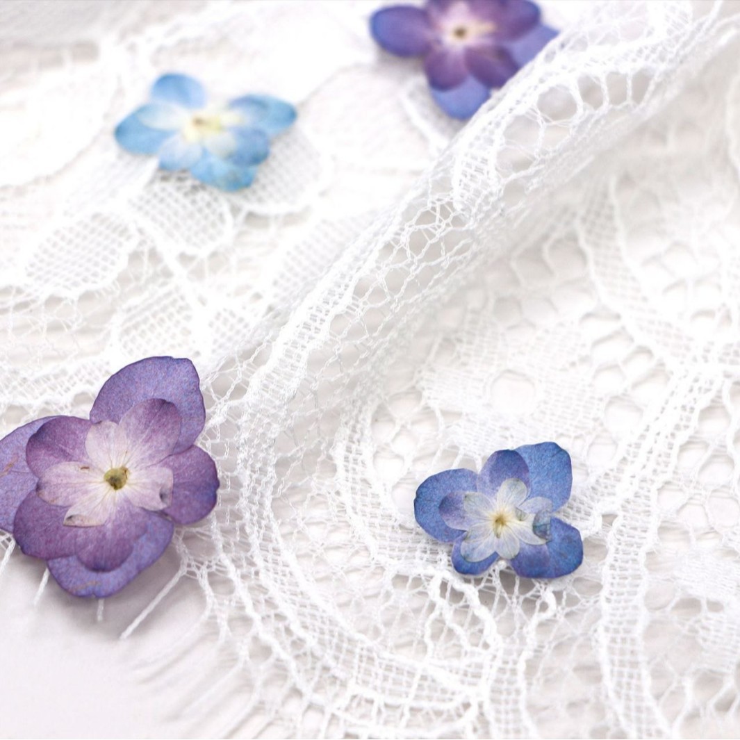60個入り ミニダブルフラワーハイドランジア ドライフラワー - Art And Craft Photos のレビューと価格